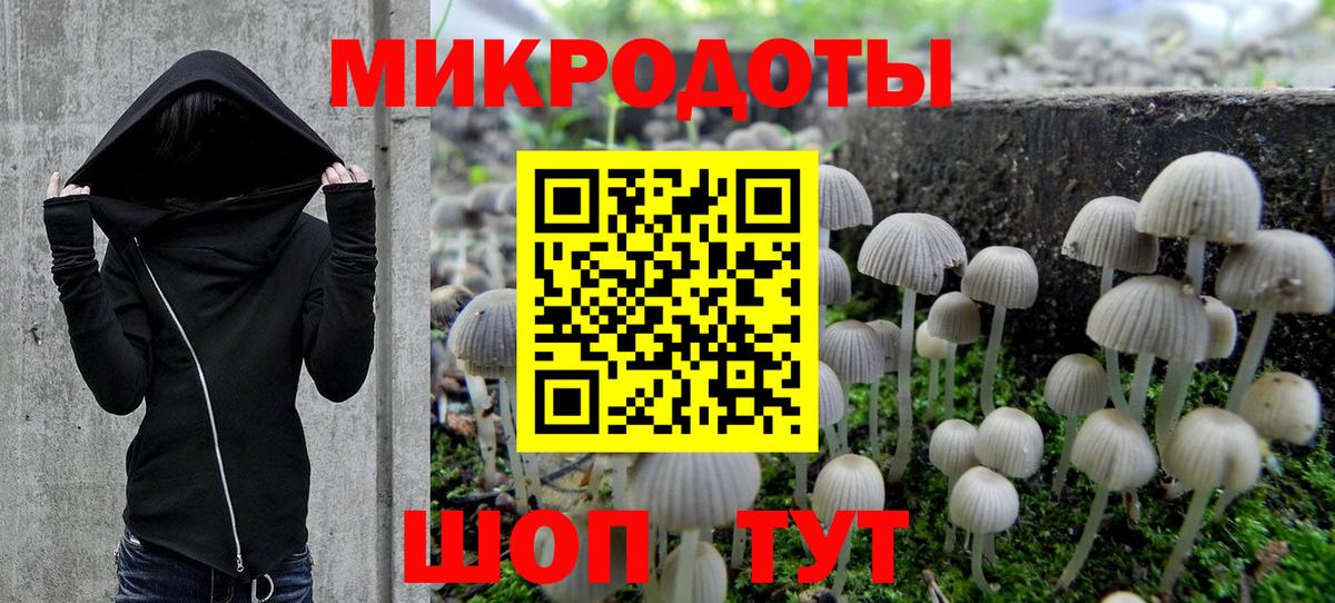 Галлюциногенные грибы Psilocybine cubensis Саянск