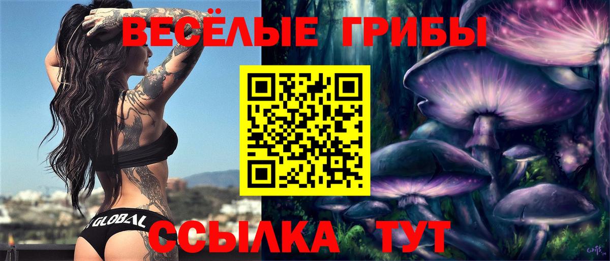 Саянск  Галлюциногенные грибы Magic Shrooms  Вход с VPN 